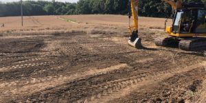 Reinstatement of ag field