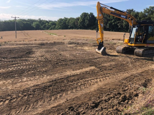 Reinstatement of ag field